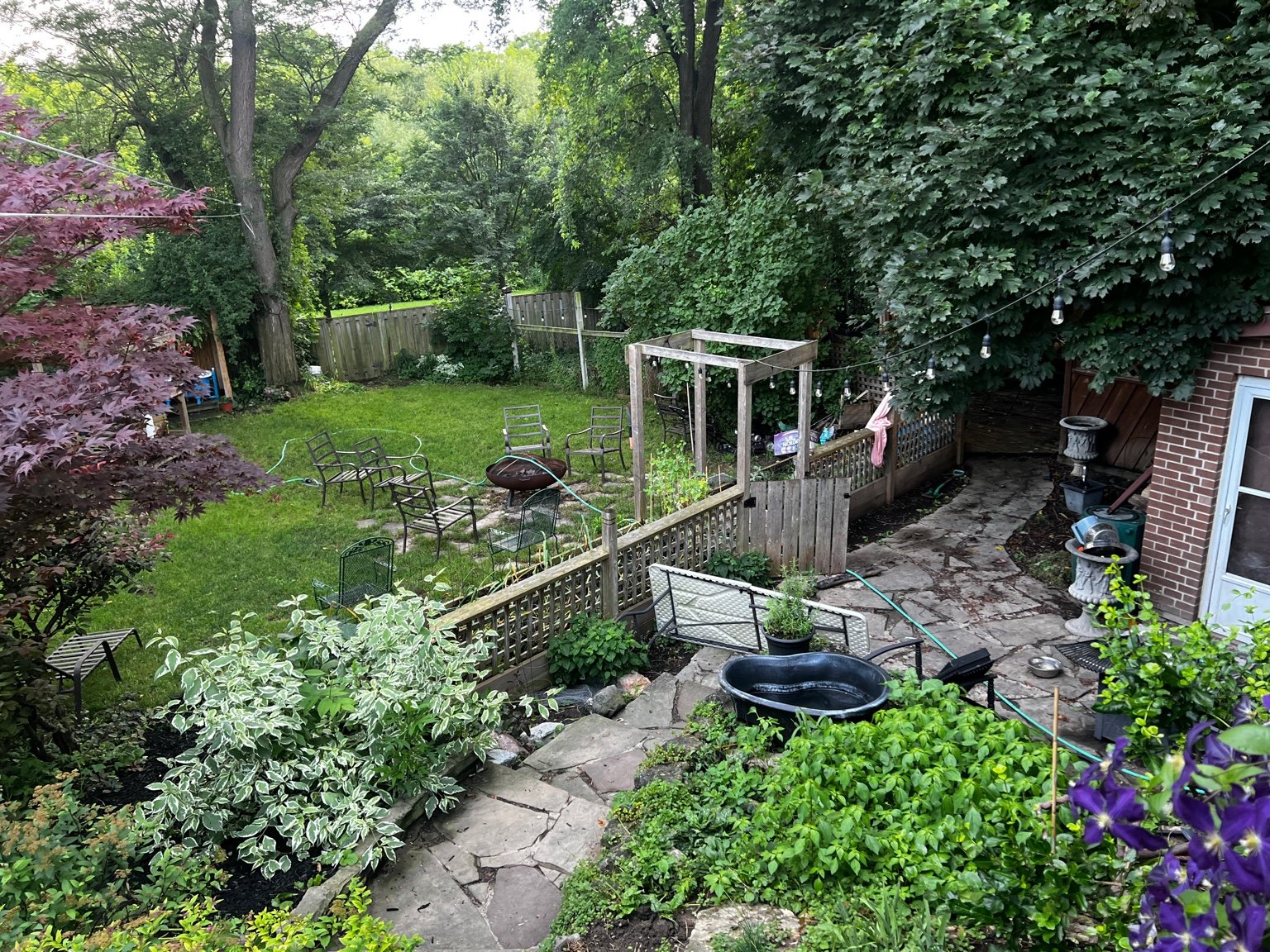 Overview of our fenced yard with trees and seating